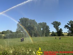 img_2381
